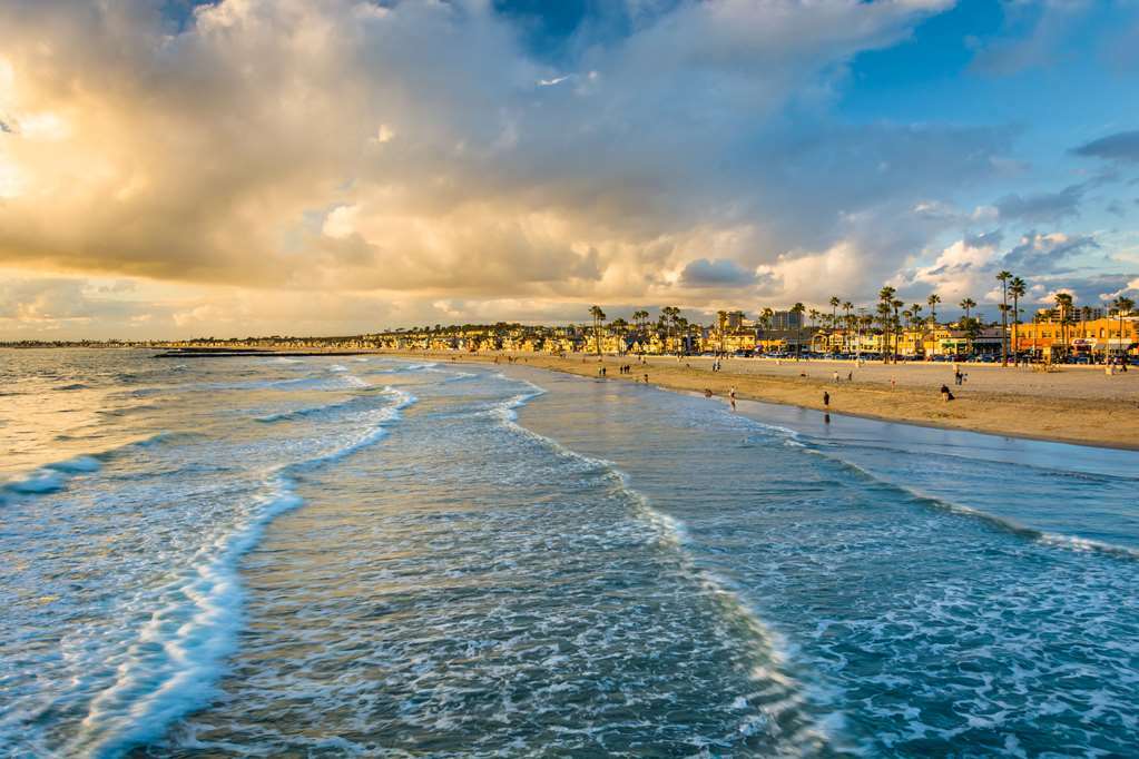Cambria Hotel & Suites Anaheim Resort Area Servicios foto
